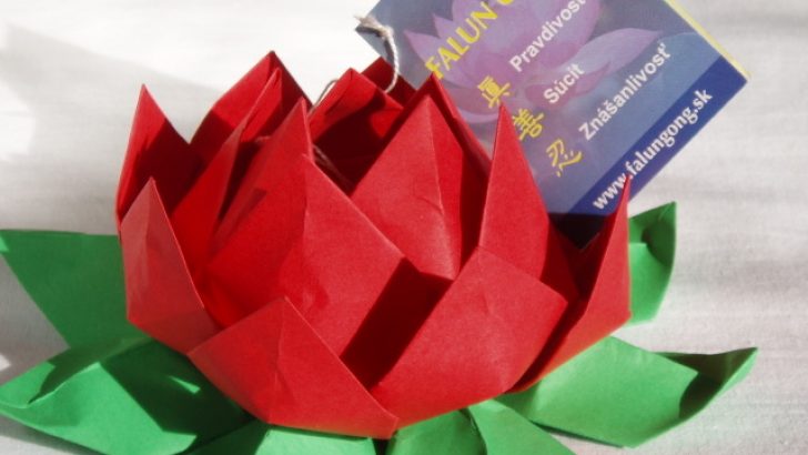 Diy Origami Lotus Flower